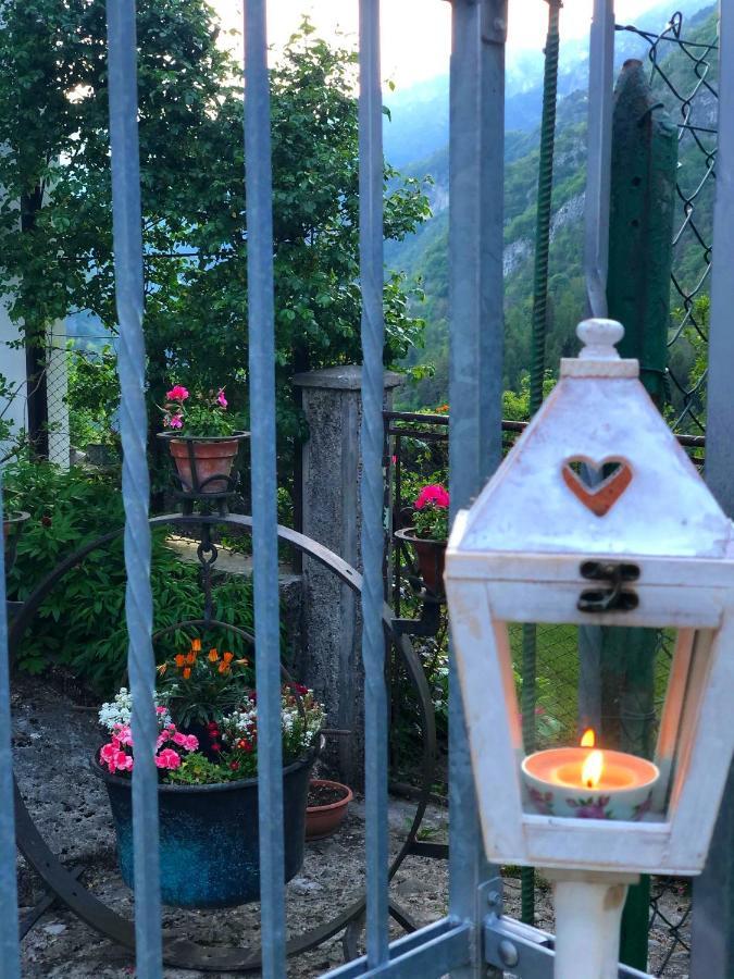 Bed and Breakfast Le Castagne Matte Stenico Exterior foto